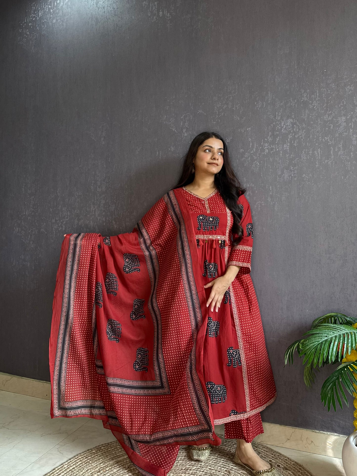 Ajrakh elephants handwork A line suit set
