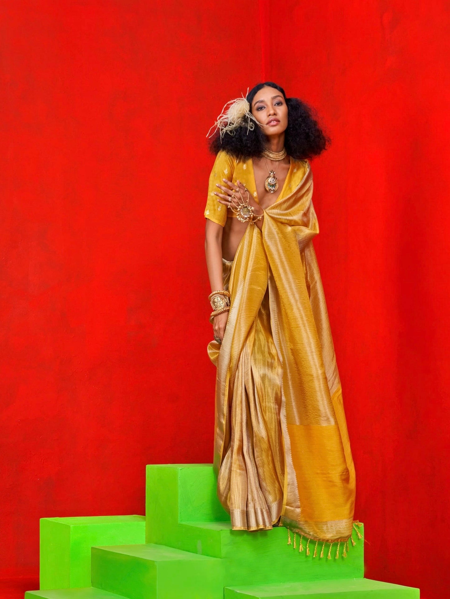 Soft tissue benarsi saree