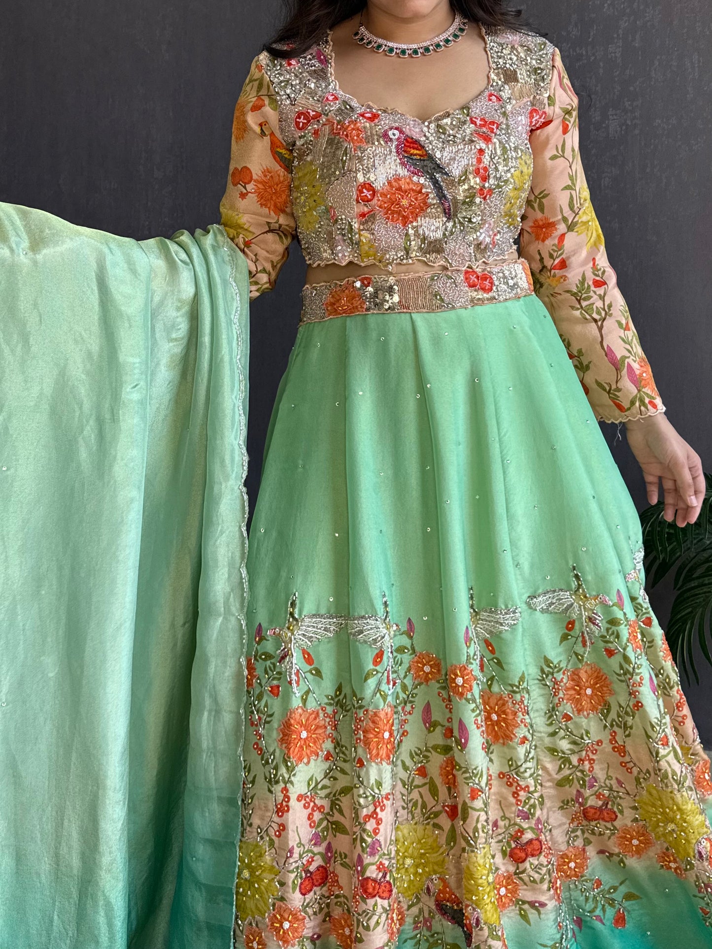 Handwork birds ombré Lehenga set