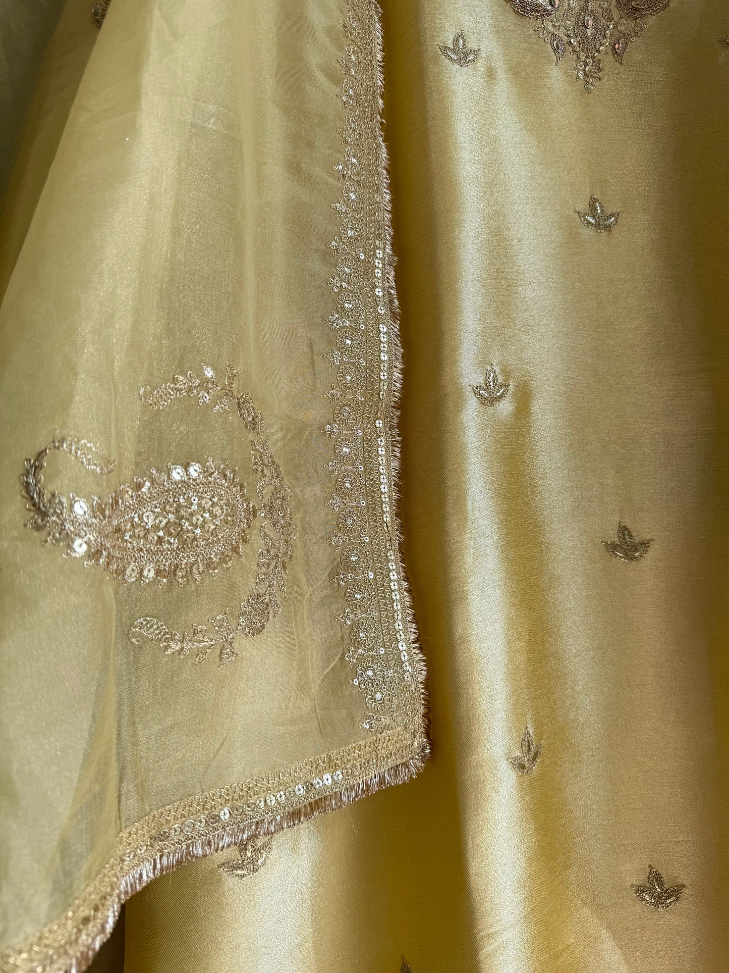 Luxurious Tissue silk aari work suit