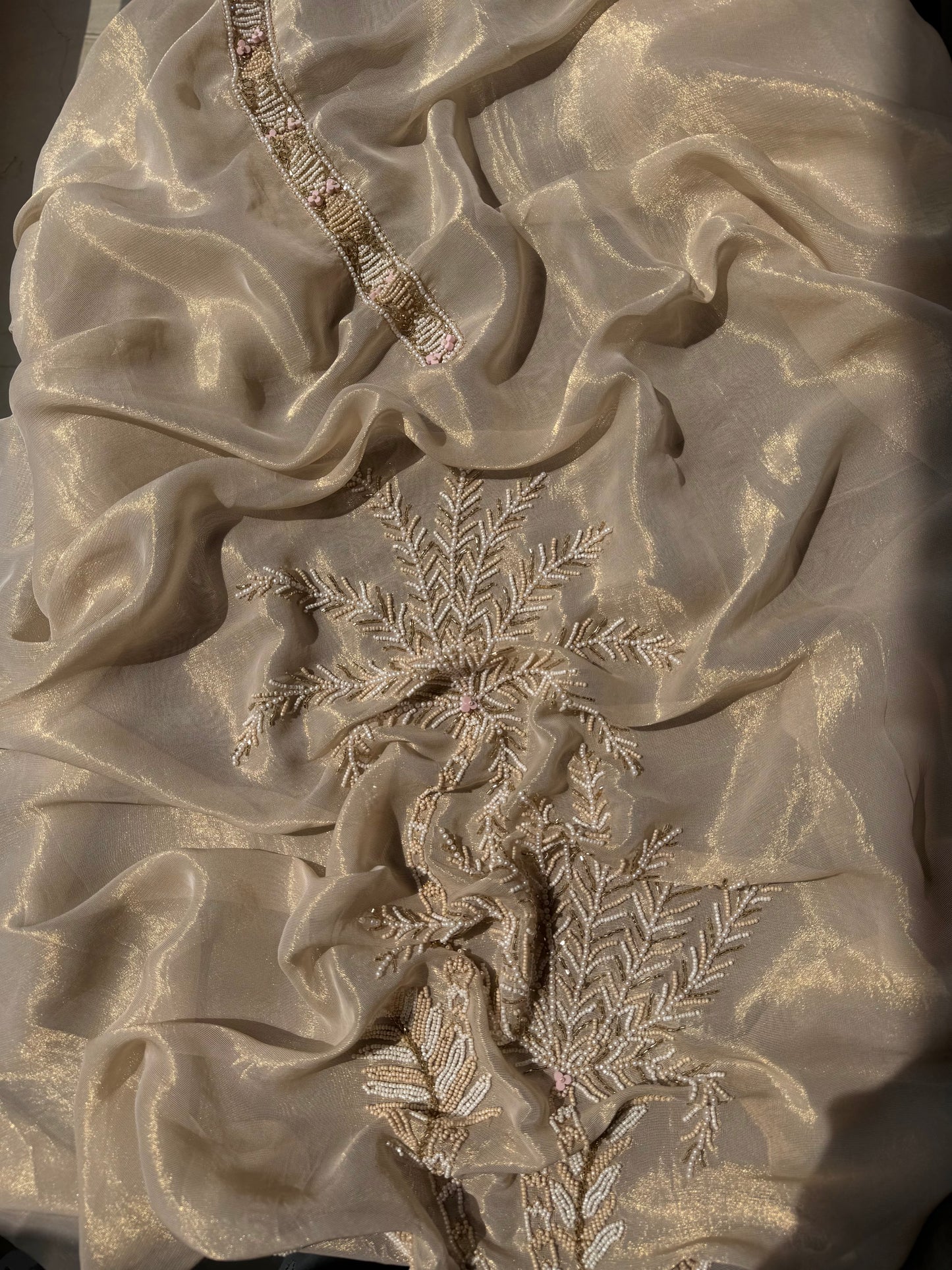 Luxurious Handwork Tissue Benarsi silk suit