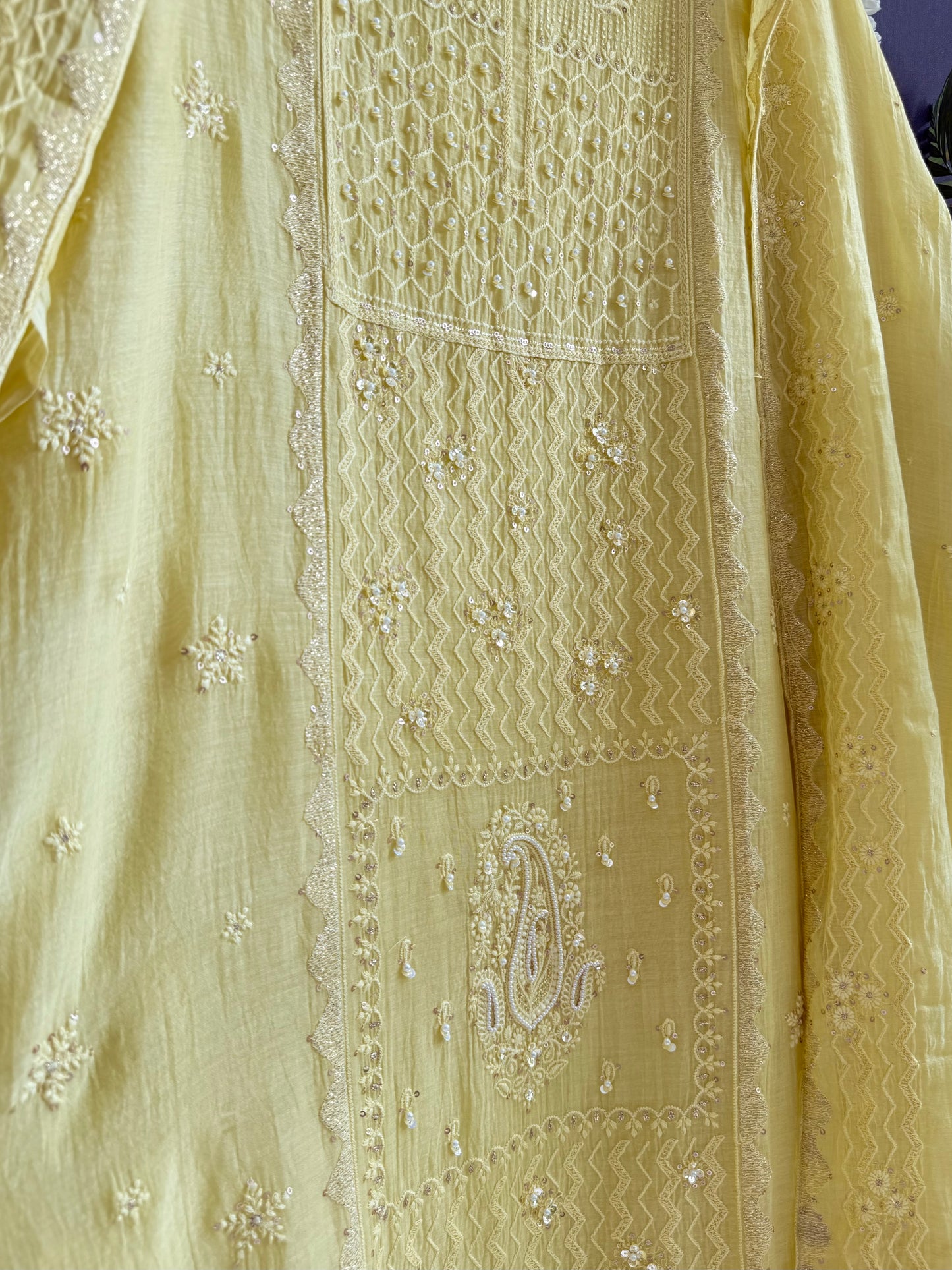 Luxurious Mul chanderi lucknowi paisley suit