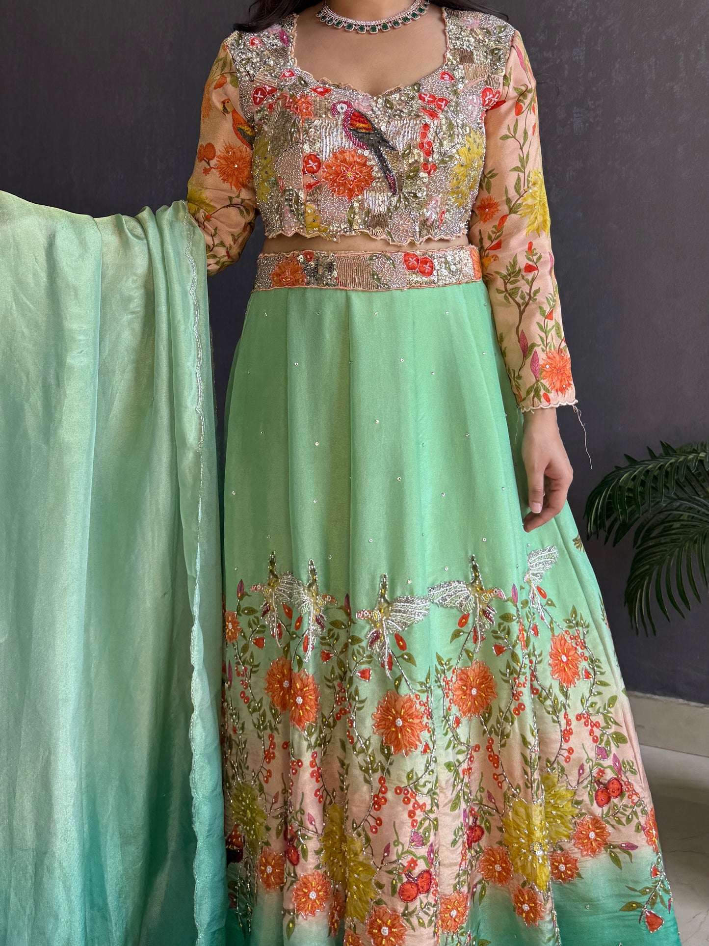 Handwork birds ombré Lehenga set