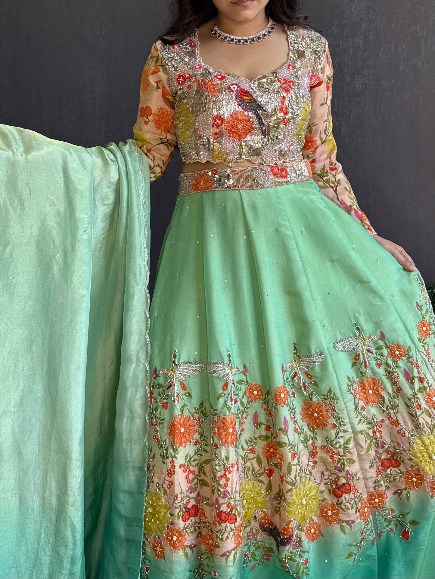 Handwork birds ombré Lehenga set
