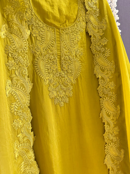 Luxurious aari work organza suit