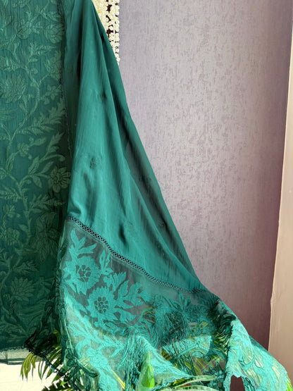 Luxurious organza appliqué work birds suit