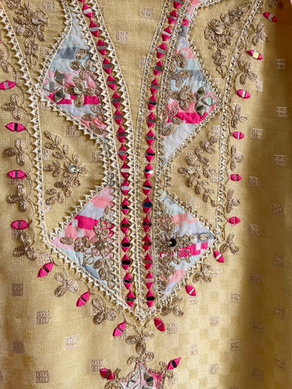 Luxurious sheesha aari work Tissue silk suit