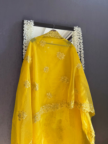 Monochromatic parsi work suit