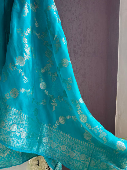 Resham Benarsi silk suit