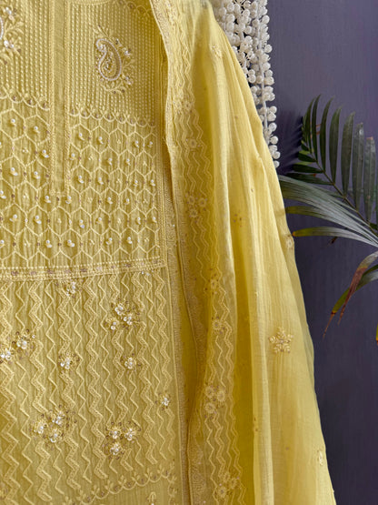 Luxurious Mul chanderi lucknowi paisley suit