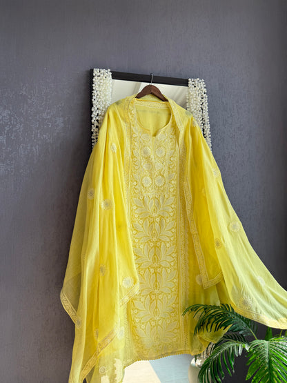 Luxurious Mul chanderi lucknowi handwork suit