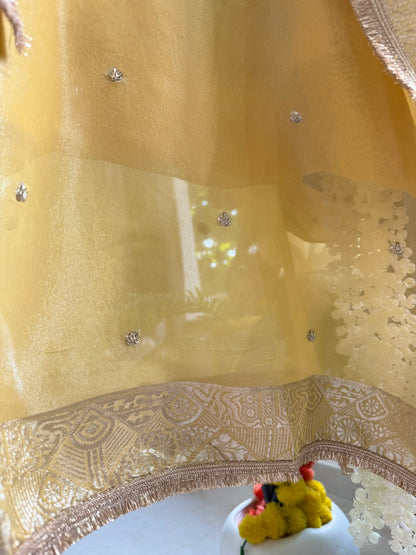 Zardozi Benarsi suit