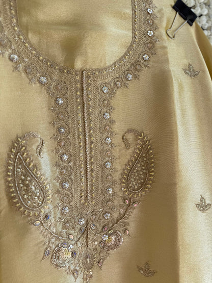Luxurious Tissue silk aari work suit
