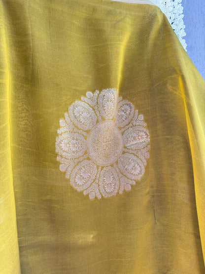 Brocade Benarsi silk suit