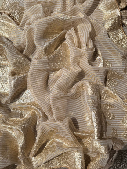Luxurious Handwork Tissue Benarsi silk suit