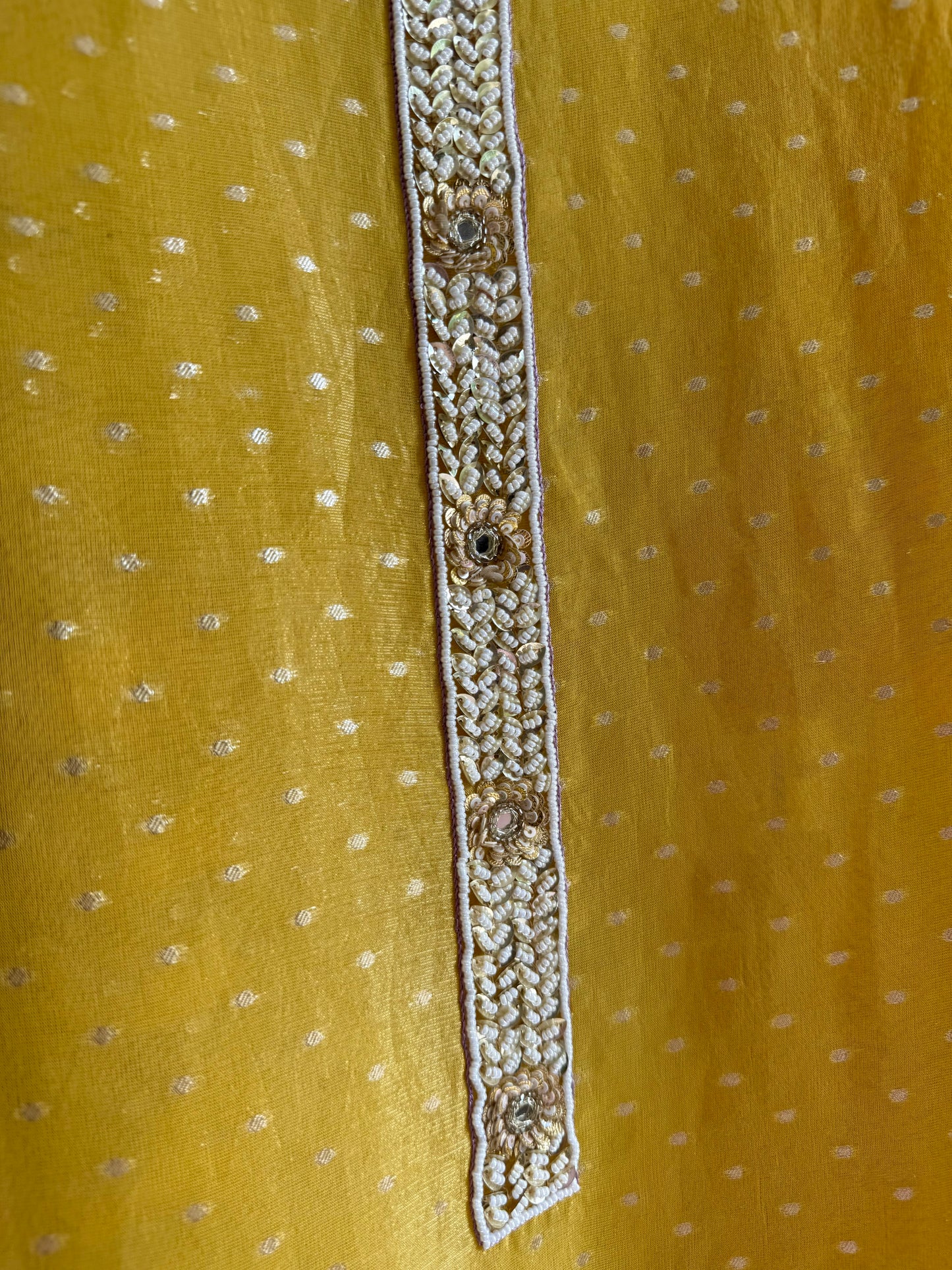 Luxurious handwork Tissue Benarsi silk suit