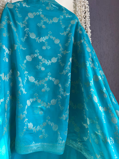 Resham Benarsi silk suit