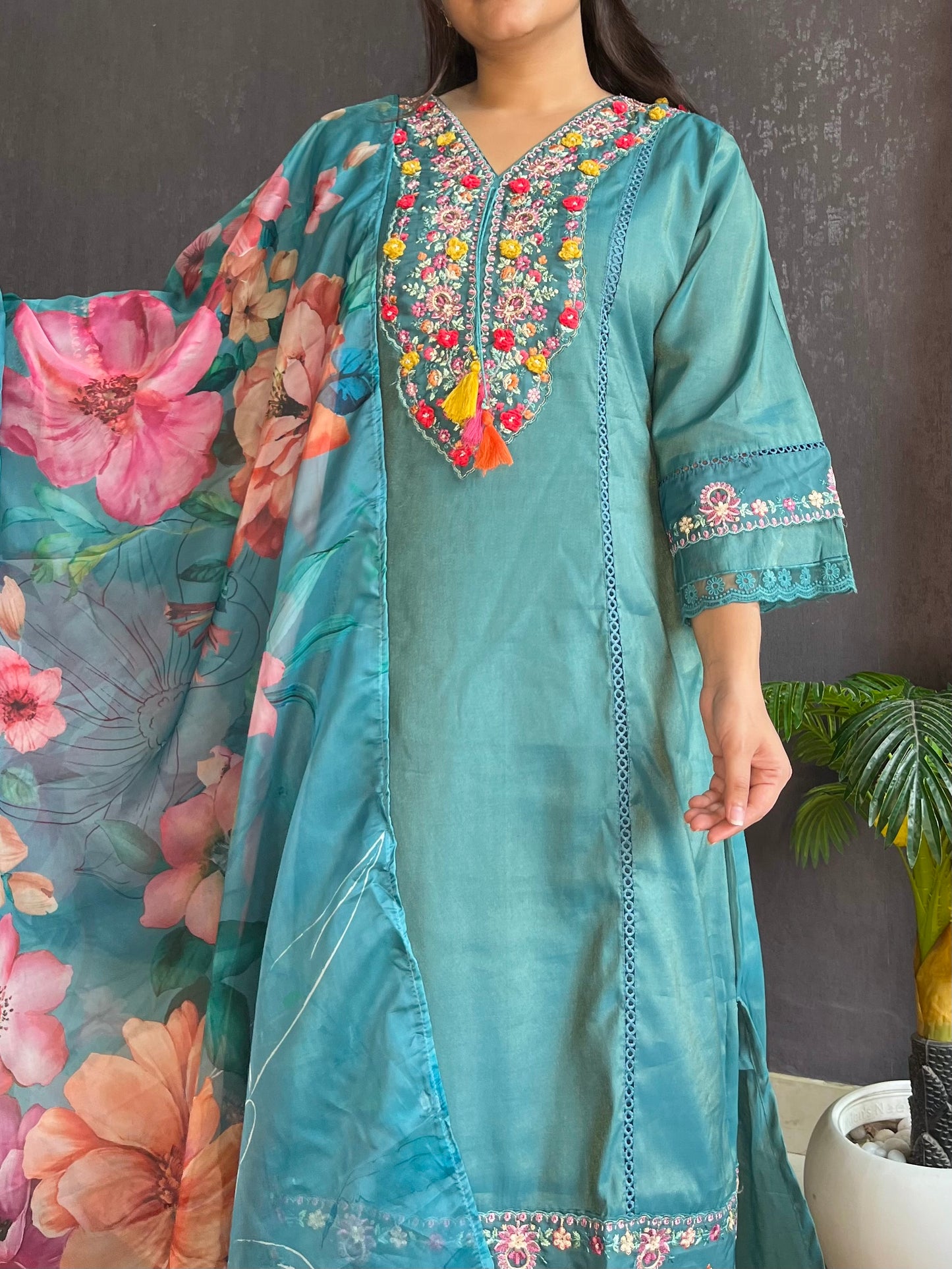 Aline Pakistani Handwork suit