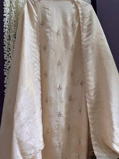 Luxurious peacock suit