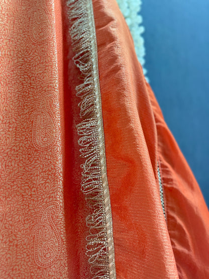 Luxurious brocade benarsi Mirror suit