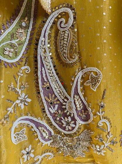 Luxurious handwork Tissue Benarsi silk suit