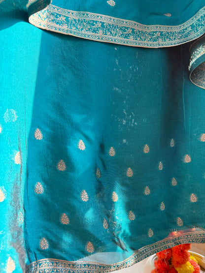 Resham elephant Benarsi silk suit