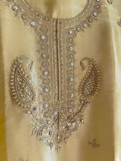 Luxurious Tissue silk aari work suit