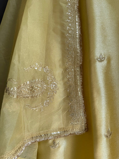 Luxurious Tissue silk aari work suit