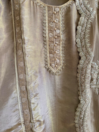 Luxurious Benarsi Tissue silk suit