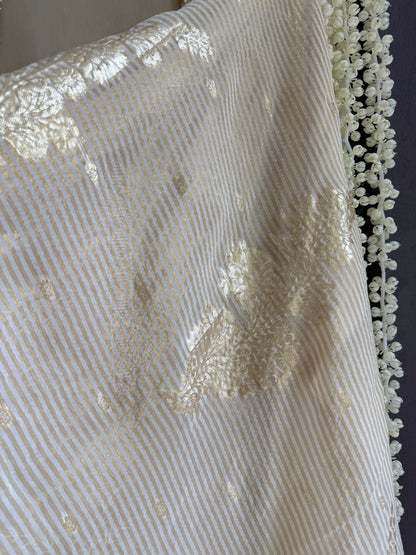 Luxurious Handwork Tissue Benarsi silk suit