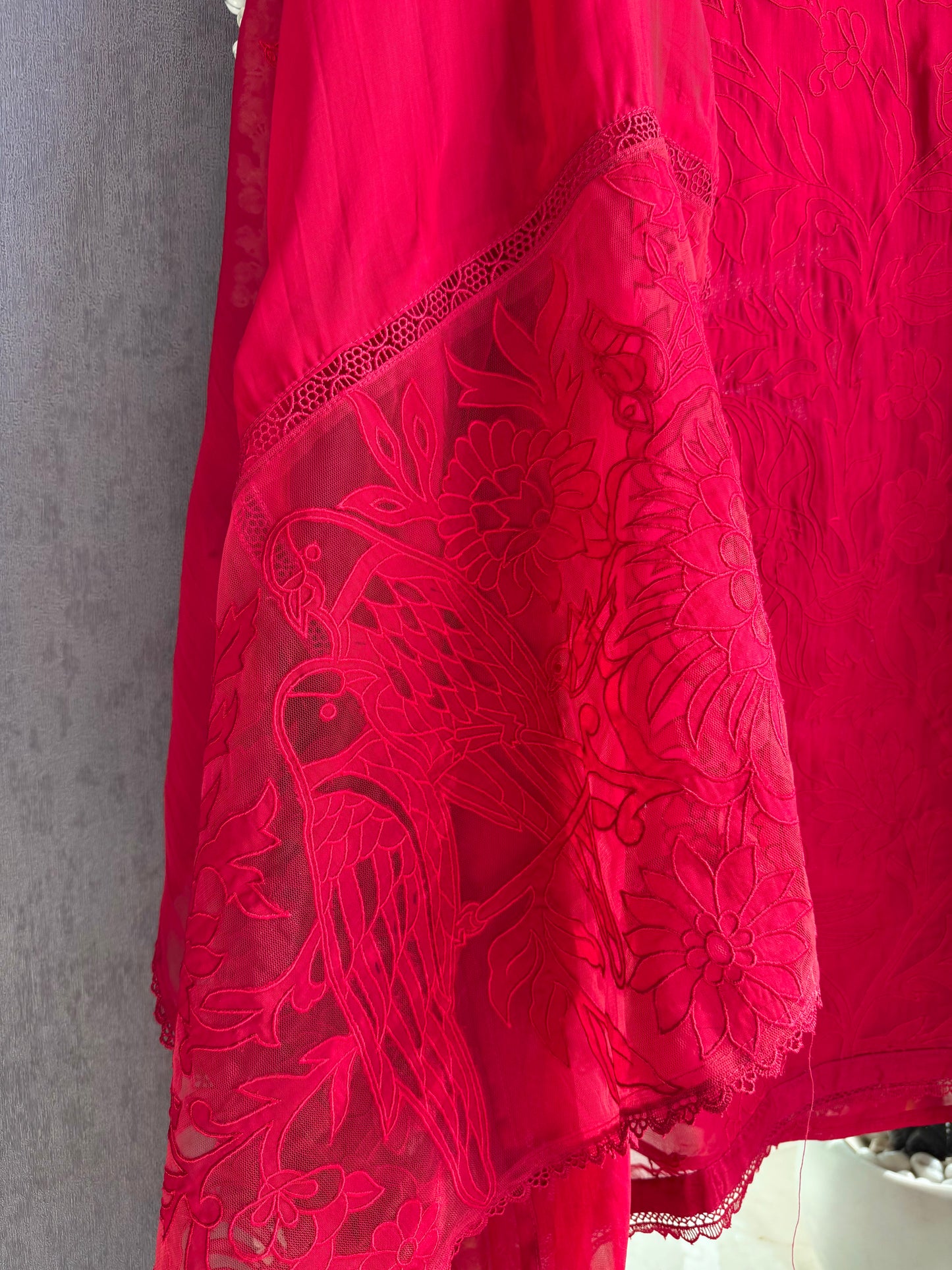 Luxurious organza appliqué work birds suit