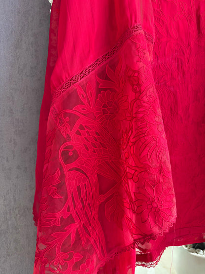 Luxurious organza appliqué work birds suit