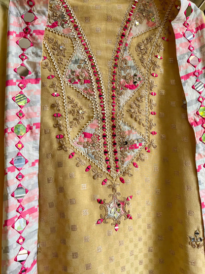 Luxurious sheesha aari work Tissue silk suit