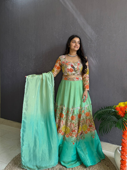 Handwork birds ombré Lehenga set