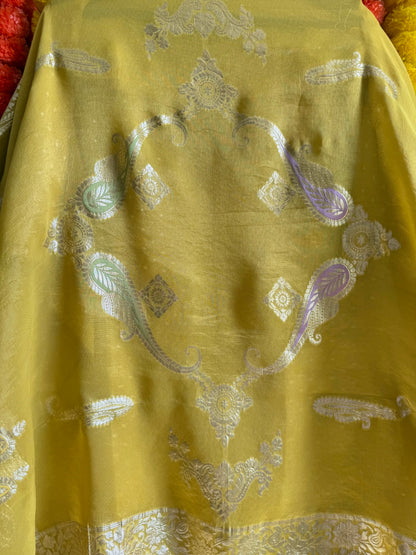 Luxurious handwork Tissue Benarsi silk suit