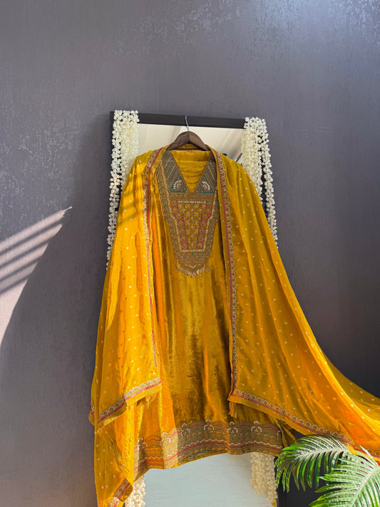 Velvet hand work suit