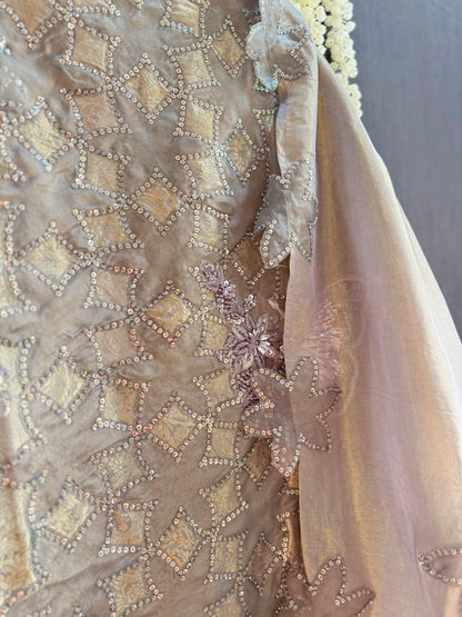 Luxurious brocade cutwork Tissue silk suit