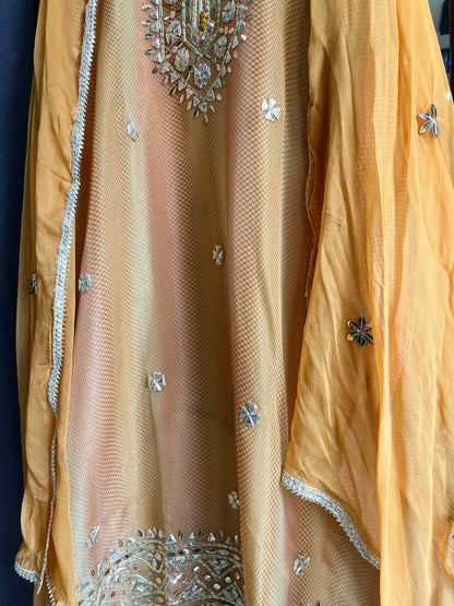 Gotta patti Tissue organza silk suit
