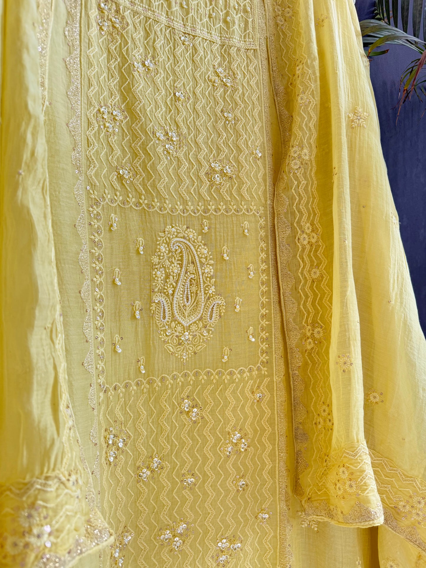 Luxurious Mul chanderi lucknowi paisley suit