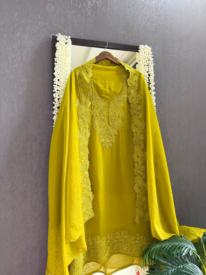 Luxurious aari work organza suit