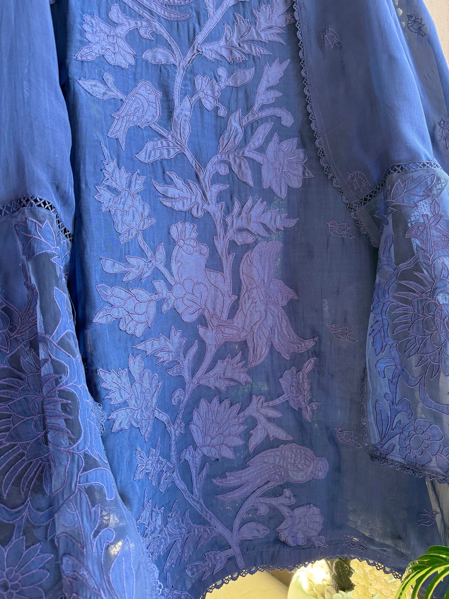 Luxurious organza appliqué work birds suit