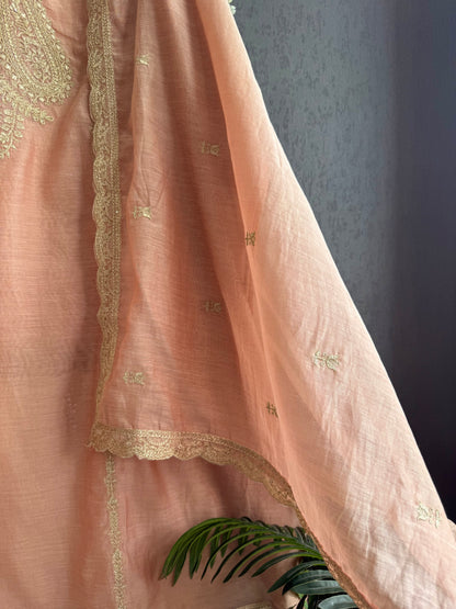 Luxurious Mul chanderi dori sitara suit