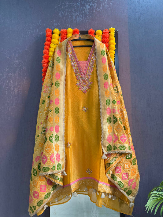 Luxurious patola kanjivaram silk suit