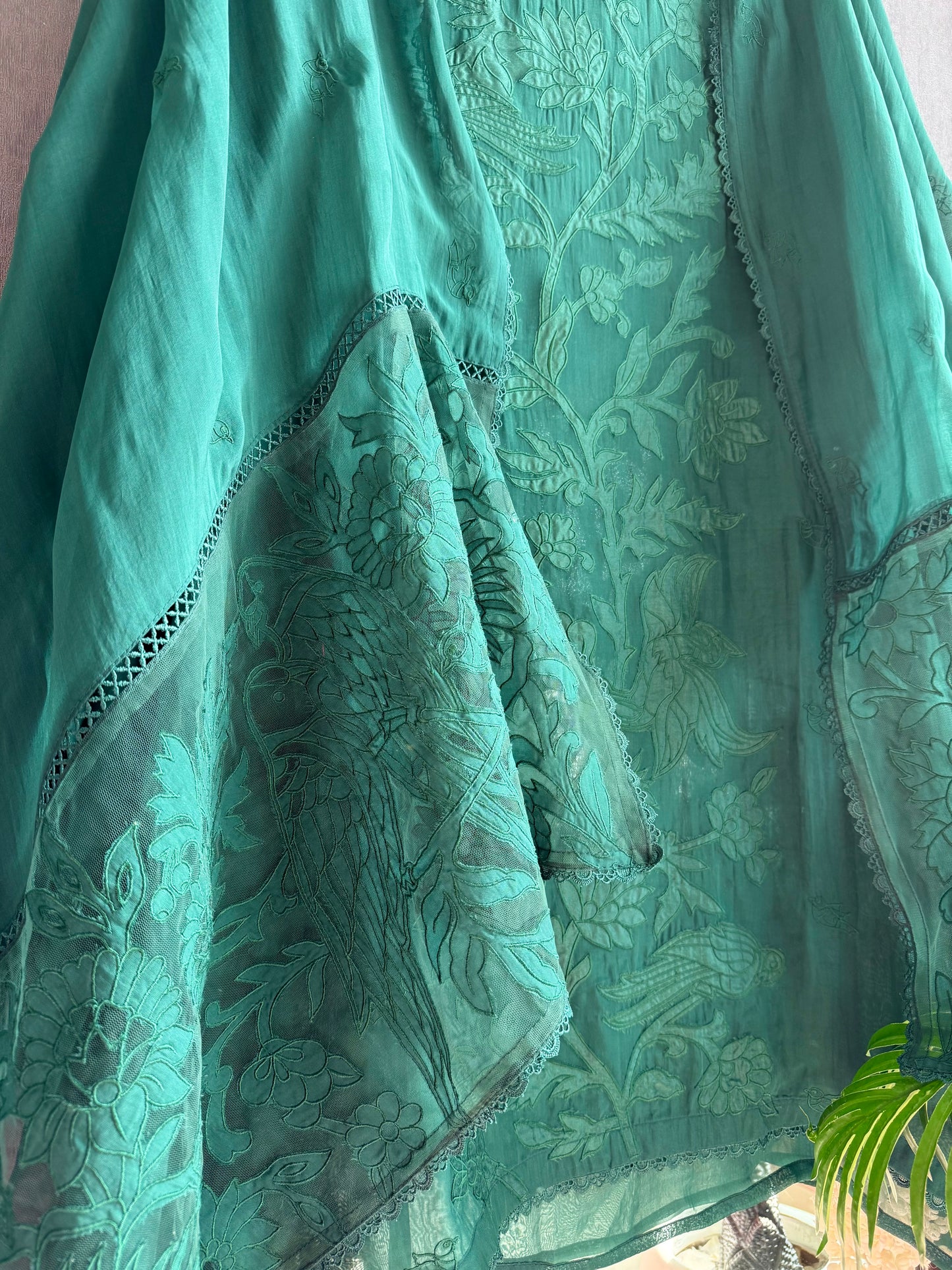 Luxurious organza appliqué work birds suit