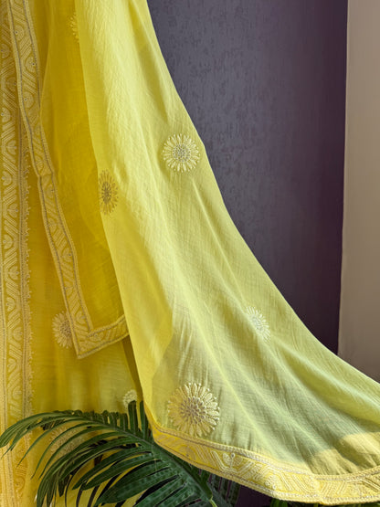 Luxurious Mul chanderi lucknowi handwork suit