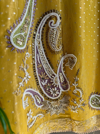 Luxurious handwork Tissue Benarsi silk suit