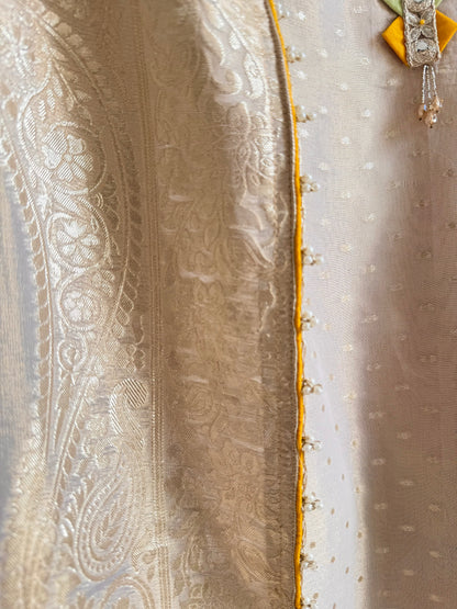 Luxurious aari work Tissue Benarsi silk suit