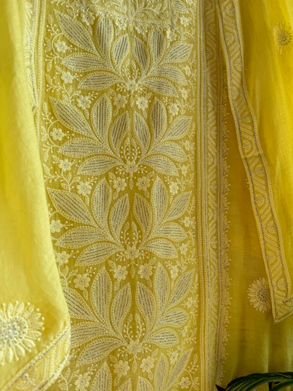 Luxurious Mul chanderi lucknowi handwork suit