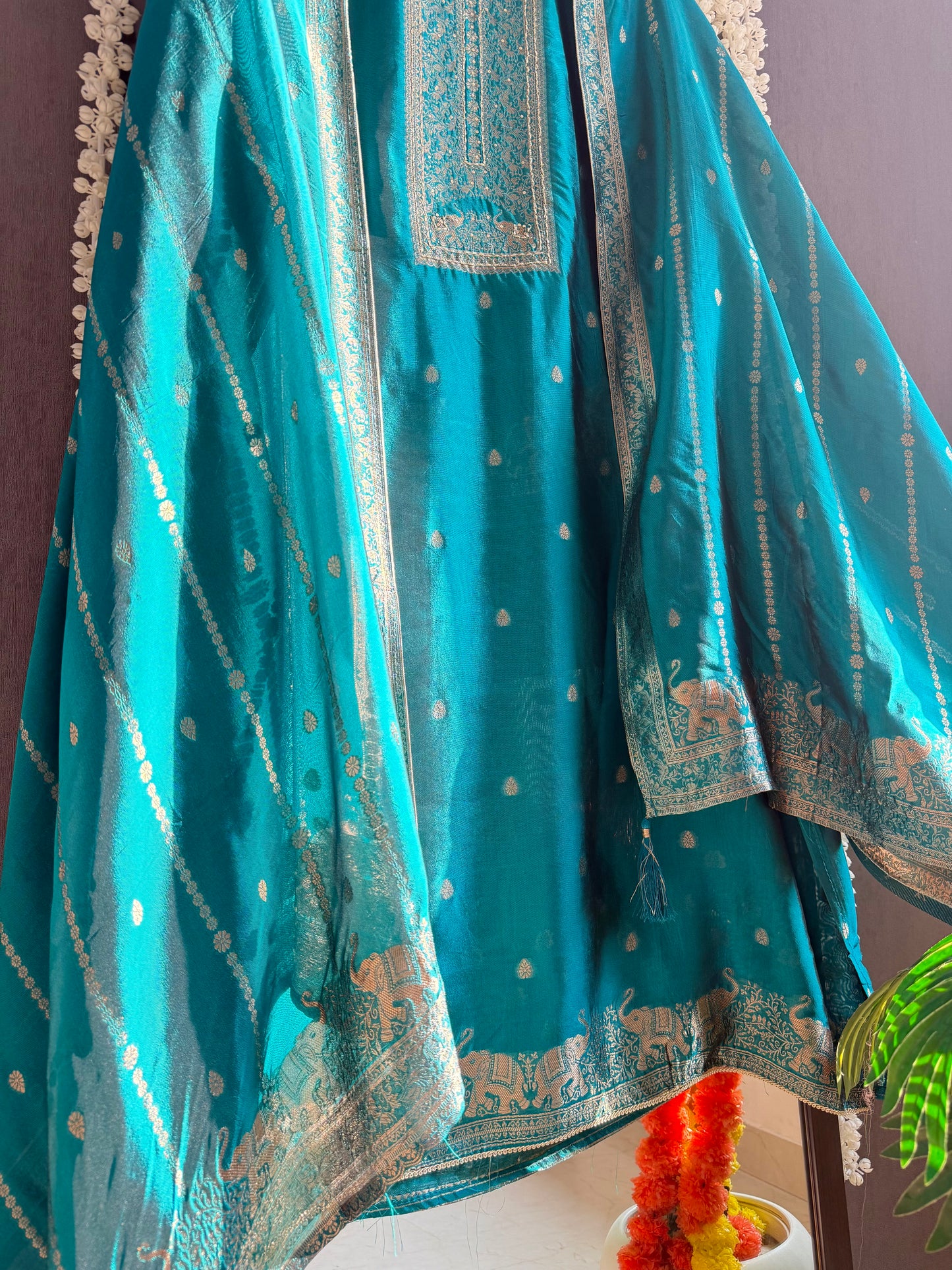 Resham elephant Benarsi silk suit