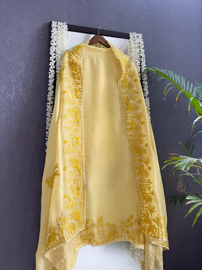 Organza appliqué work elephants suit